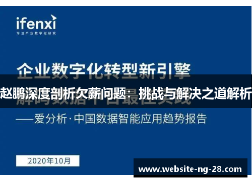 赵鹏深度剖析欠薪问题:挑战与解决之道解析 赵鹏深度剖析欠薪问题:挑战与解决之道解析