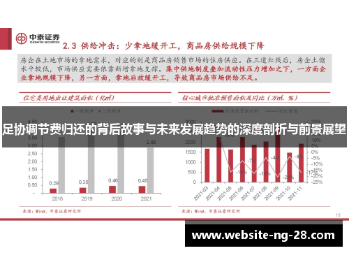 足协调节费归还的背后故事与未来发展趋势的深度剖析与前景展望