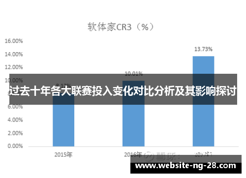 过去十年各大联赛投入变化对比分析及其影响探讨