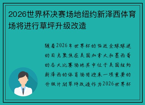 2026世界杯决赛场地纽约新泽西体育场将进行草坪升级改造