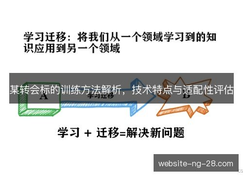 某转会标的训练方法解析，技术特点与适配性评估